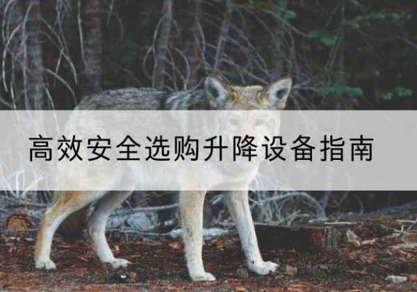 固安升降货梯厂家推荐-*安全选购升降设备指南