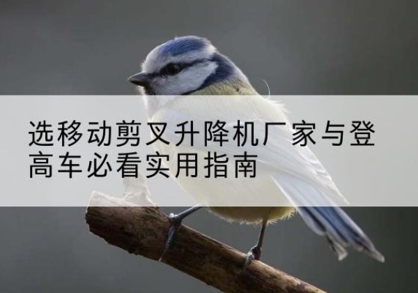 固安电动升降机厂家-选移动剪叉升降机厂家与登高车必看实用指南