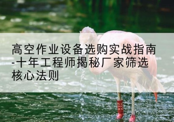 固安剪叉式升降机厂家-高空作业设备选购实战指南-十年工程师揭秘厂家筛选核心法则